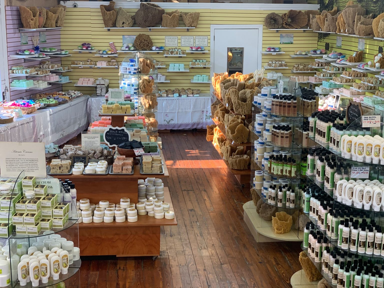 Homemade Soaps & Skincare Products Store in Tarpon Springs, FL | Lori's ...