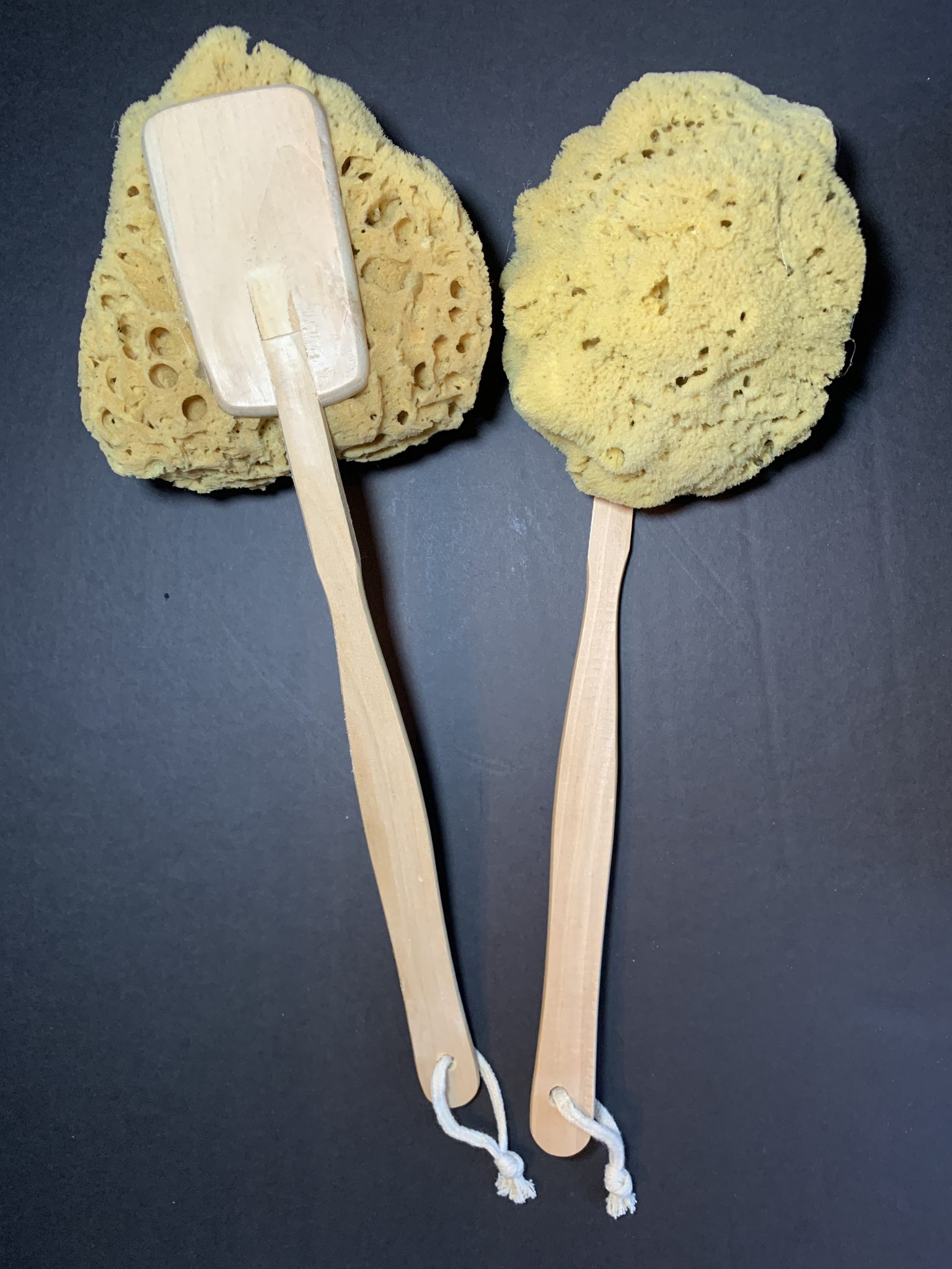 Yellow Sponge on a Stick Lori's Soap Shop