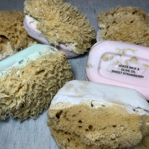 Goat Milk Soap with Sponge
